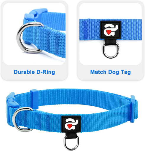 azuza 3 Pack Adjustable Nylon Dog Collars for Small Dogs, S (11-16 inch) - Green, Blue, Royal Blue