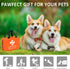 Pet First Aid Kit for Dogs and Cats, Emergency Kit for Camping, Hiking, Traveling, and Sports