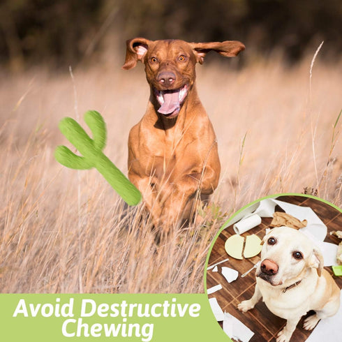 MewaJump Tough Rubber Dog Chew Toys for Aggressive Chewers, Cactus Dog Toys for Medium/Large Dog Training
