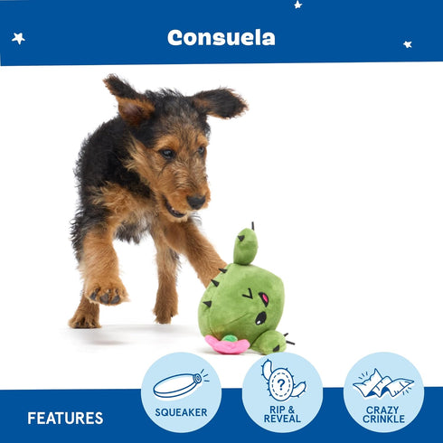 Barkbox 2 in 1 Interactive Plush Dog Toy - Rip and Reveal Toy for Dogs and Puppies, Stimulating Squeaky Pet Toy