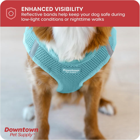 Downtown Pet Supply Light Blue Step in Dog Harness for Small Dogs - Adjustable No Pull Buckle Strap with Padded Mesh