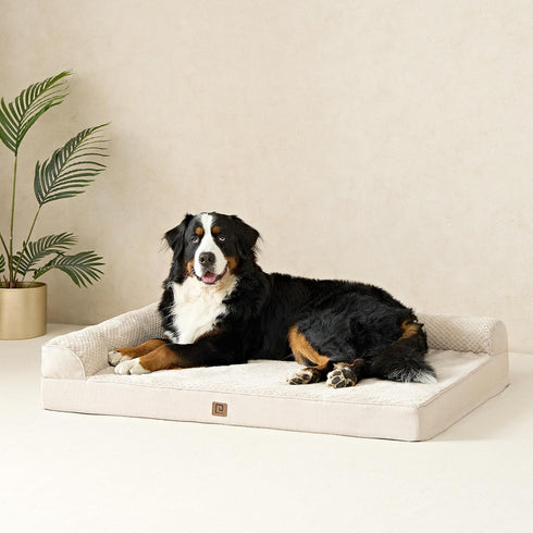 EHEYCIGA Memory Foam Orthopedic Dog Bed - Washable Bed with Waterproof Lining, Removable Cover, Nonskid Bottom, 36x27