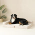 EHEYCIGA Memory Foam Orthopedic Dog Bed - Washable Bed with Waterproof Lining, Removable Cover, Nonskid Bottom, 36x27
