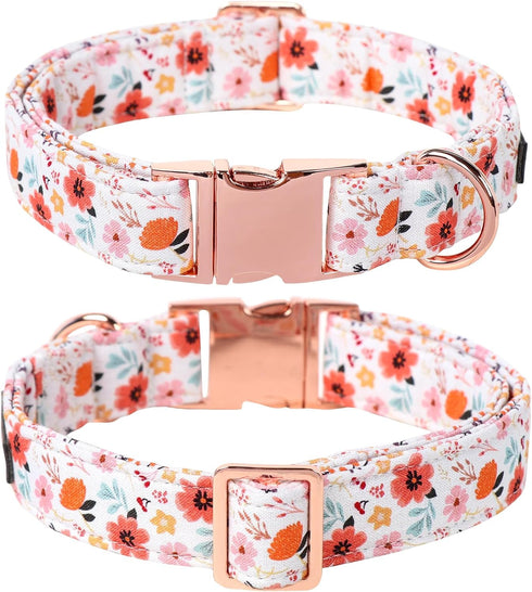 Lionet Paws Dog Collar, Adjustable Cute Collar with Metal Buckle for Male Female Puppies, Summer Flower (Medium, Neck
