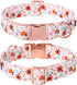 Lionet Paws Dog Collar, Adjustable Cute Collar with Metal Buckle for Male Female Puppies, Summer Flower (Medium, Neck