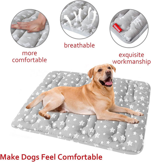 Dog Crate Mat (24" X 18") 2 Pack, Soft Bed Mat with Cute Prints, Anti-Slip Bottom, Personalized Dog Crate Pad, Machine