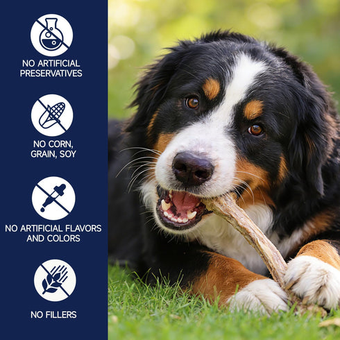 Dogs,100% 5.29 oz Freeze Dried Beef Ribs Dog Treats, Single Ingredient, Natural Chew Bone, Gentle on Teeth and Stomach