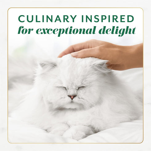 Fancy Feast Gems Cat Food Mousse, Chicken with Savory Gravy, Pack of 8, 4 oz Boxes