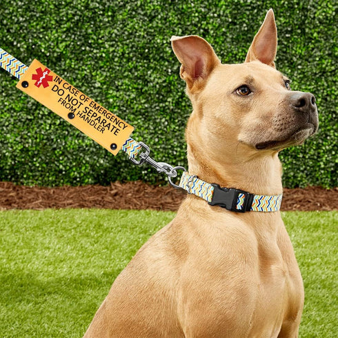 in Case of Emergency Dog Leash Wrap Working Dog Medical Leash Sleeve Service Dog Leash Wrap (in CASE of Emergency
