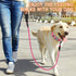 BARKBAY Heavy Duty Dog Leashes for Large Dogs, 2 PACK 5 FT with Padded Handle, Reflective Threads