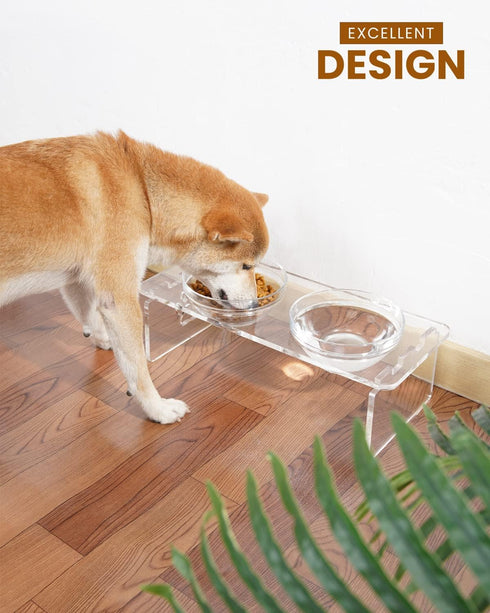 Additional Glass Bowl for The Feoyoho Feeders - Replacement Pet Glass Bowl, 34 oz, Dishwasher Safe
