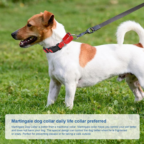 Reflective Martingale Dog Collars with Quick Release Buckle, Adjustable Soft Padded Breathable Nylon Collar for Small