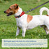 Reflective Martingale Dog Collars with Quick Release Buckle, Adjustable Soft Padded Breathable Nylon Collar for Small