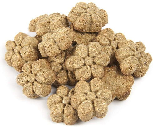 Fruitables Baked Dog Treats Variety Pack of 8 - 2 Pumpkin & Apple, 2 Pumpkin & Banana, 2 Pumpkin & Blueberry, 2 Pumpkin