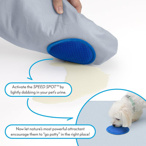 2ct (36x36 Inch Paw Inspired Speed Spot Go Here Potty Training Puppy Pads with Pop Up Urine Attractant Target |
