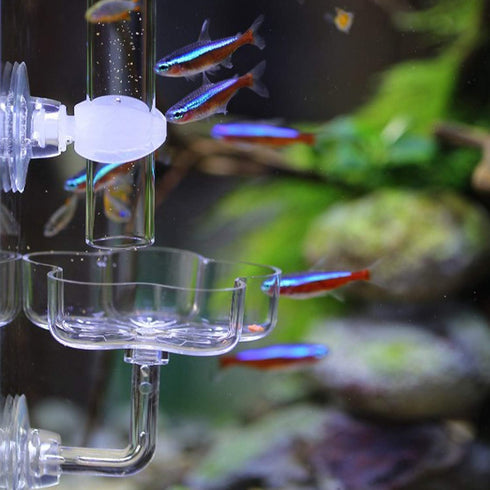 Aquarium Shrimp Feeding Dish and Tube Kit, Glass Feeder Tube, Acrylic Dish, Holder, 3 Lengths, 7.8, 11, 13.7 Inches