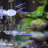 Aquarium Shrimp Feeding Dish and Tube Kit, Glass Feeder Tube, Acrylic Dish, Holder, 3 Lengths, 7.8, 11, 13.7 Inches