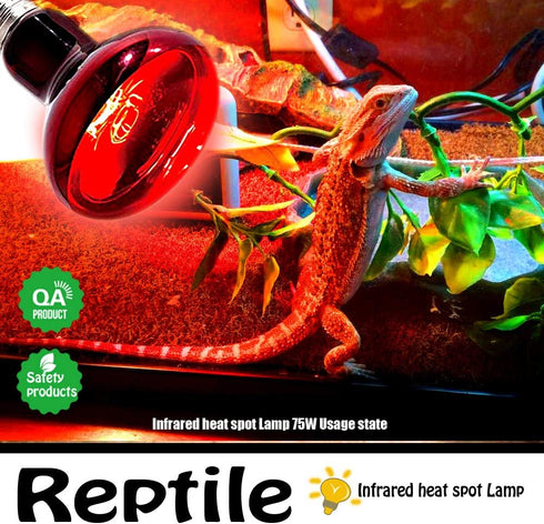 Infrared Heat Lamp Bulbs 75W 2 Pack - Red Basking Spot Light Bulb for Reptiles like Bearded Dragon, Turtle, Snake, with