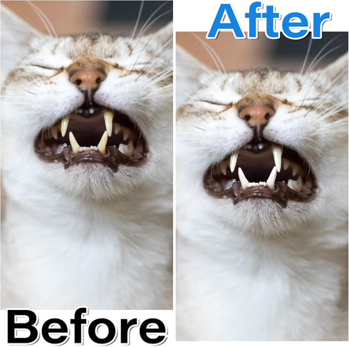 EupHHonycs 4 360-Degree Pcs Small Dog and Cat Soft Toothbrush Pet Toothbrush for Puppy, Small Dog and Cat