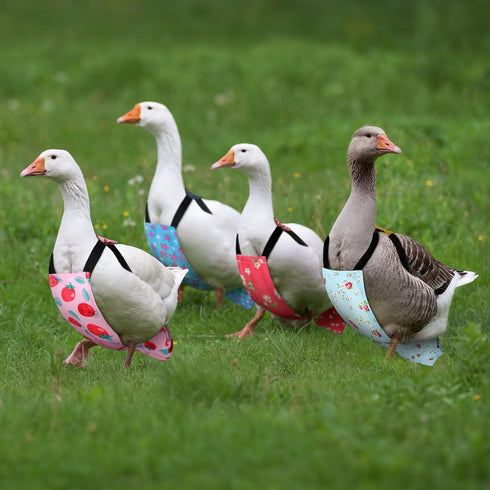 6 DoubleFill Pcs Chicken Diapers for Indoor Chickens Reusable Washable Duck Diapers with Bowtie Adjustable Ducklings
