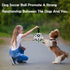 Dog Toys Soccer Ball - Interactive Tug of War, Puppy Birthday Gifts, Durable Dog Balls for Small & Medium Dogs (6 inch)