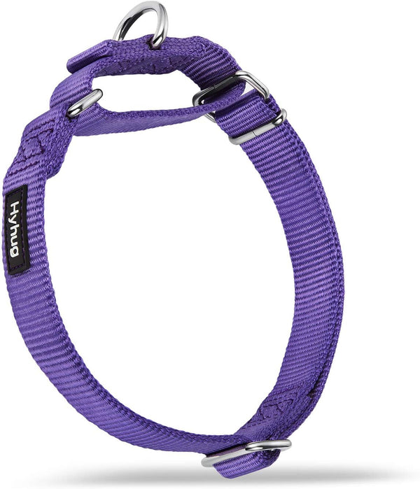 Hyhug Pets Premium Upgraded Heavy Duty Nylon Anti-Escape Martingale Collar for Pup Dogs, Comfy Safe Training (Small,