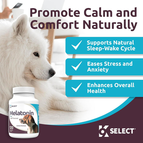 K9 Select Melatonin for Dogs, Composure Dog Calming Chews, 3 mg, 120 Beef Flavored Chewable Tablets