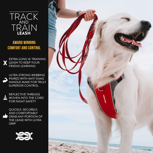 EzyDog Track and Train Premium Dog Leash, 16-Foot Extra Long Lead for Training Your Pup - Red