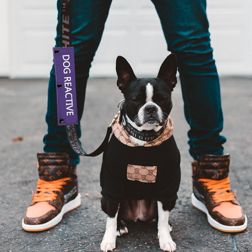 Dog Reactive Leash Sleeve - Nervous Dog Leash Wrap with Reactive Dog Patch