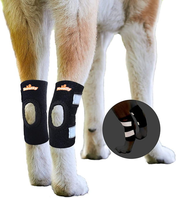 NeoAlly Cat and Dog Ankle Brace Pair - Canine Rear Leg Hock Support with Reflective Straps for Injuries (XS Pair)