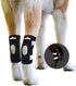NeoAlly Cat and Dog Ankle Brace Pair, Canine Rear Leg Hock Support, Safety Reflective Straps, S Pair