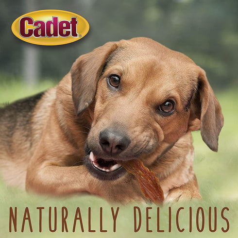 Cadet Duck Breast Gourmet Dog Treat with Exclusive Got Treats Paw Magnet, 2.5 Pound Value Pack