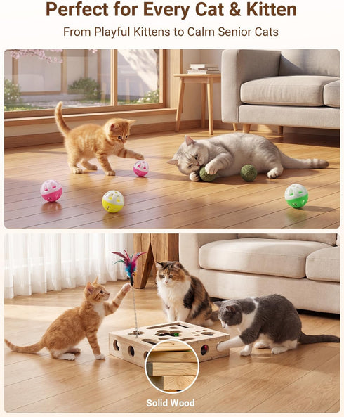 Hyfico 2026 2 Ball&4 Cat Toys for Indoor Cats - Cat Nail File Box with Interactive Cat Toys, Upgraded Cat Puzzle Feeder