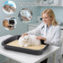 3 Pack 23" Tlence Low Entry Cat Litter Box, Open Top Pet Litter Pan for Kitten, Extra Large Senior Cat Travel Toilet