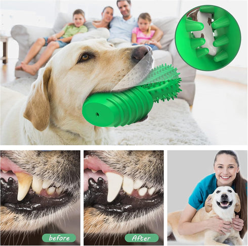 Pamlulu Dog Chew Toys Dog Toothbrush Stick Teeth Cleaning Brush Dental for Medium Large Dog, Puppy Christmas Easter