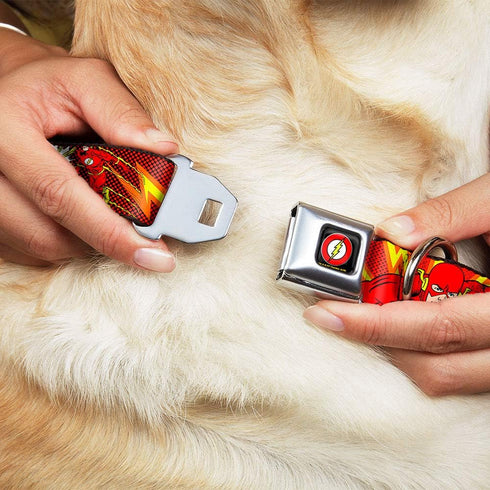 Dog Collar with Seatbelt Buckle - The Flash Boom Kaboom (18 to 32 Inches, 1.5 Inch Wide)