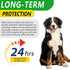 Natural Antibiotics for Dogs - Pet Antibiotic Healing Aid for Wounds, Sores, Abrasions, Duck Flavor Itch Relief