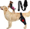 Dog Elbow Brace Protector Pads, Canine Elbow Support for Hygroma, Dysplasia, Osteoarthritis, XL