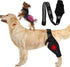 Dog Elbow Brace Protector Pads, Canine Elbow Support for Hygroma, Dysplasia, Osteoarthritis, XL