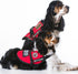 Pack of 16 Service Dog Patches: Do Not Pet, Ask to Pet, Removable Tactical Patches with Hook and Loop