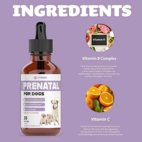 Dog Prenatal Vitamins, Includes Vitamin B Complex & C, Whelping Supplies, 1 Pack: 30 Servings