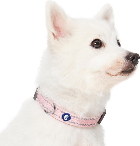 Blueberry Pet Essentials Adjustable Baby Pink Reflective Dog Collar and Leash Set, 5 ft Leash for Small Dogs