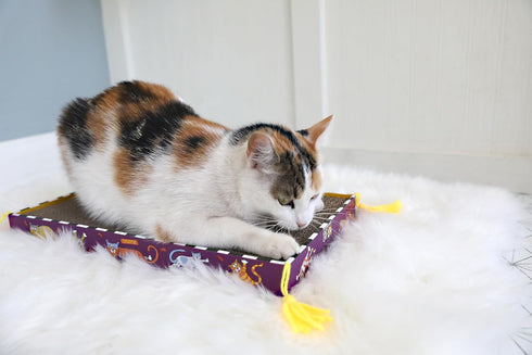 FAT CAT Big Mama's Scratch Cat Toy Box, Includes 100% Organic Catnip Grown in the USA