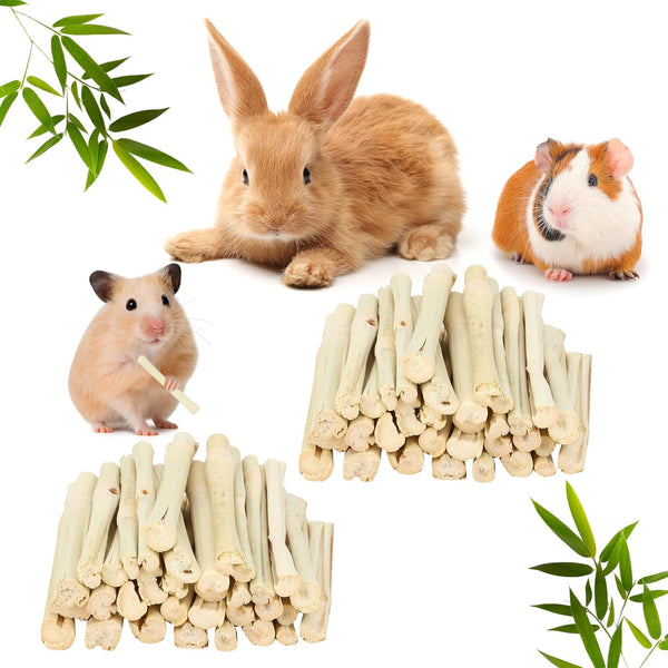 Petawi 500g Sweet Bamboo Chew Sticks Natural Rabbit Guinea Pig Chinchilla Chews Sticks