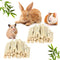 Petawi 500g Sweet Bamboo Chew Sticks Natural Rabbit Guinea Pig Chinchilla Chews Sticks
