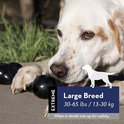 KONG Extreme Flyer and Extreme Goodie Bone - Tough Dog Toys for Power Chewers, for Large Dogs