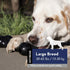 KONG Extreme Flyer and Extreme Goodie Bone - Tough Dog Toys for Power Chewers, for Large Dogs