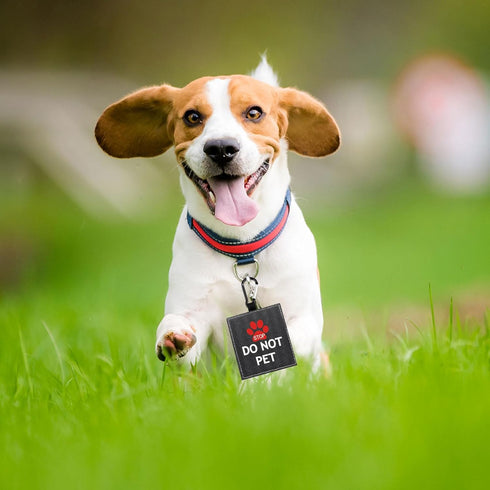 Funny Dog Leash Sleeve Do Not Pet Wrap Alert Hanging ID Patch Tag, Pet Birthday Gift (Do Not Pet2-Tag)
