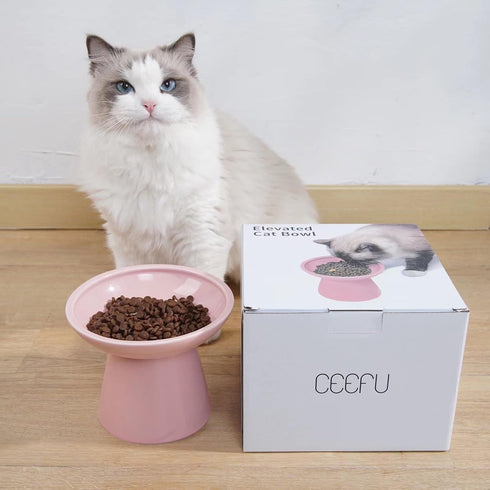 Extra Wide Elevated Cat Bowls, 6.2" Ceramic Cat Food Bowl, Shallow Dish for Whisker Fatigue, Pink