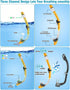 Snorkel Set with Fins for Adults, Snorkeling Gear Combo Set with Dry Top Snorkel Mask and Travel Bag for Diving,